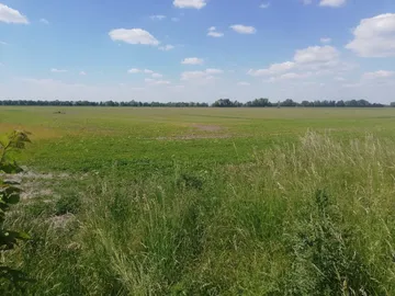 Pozemok